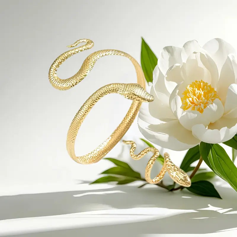 Slangen Armband en Ring Set